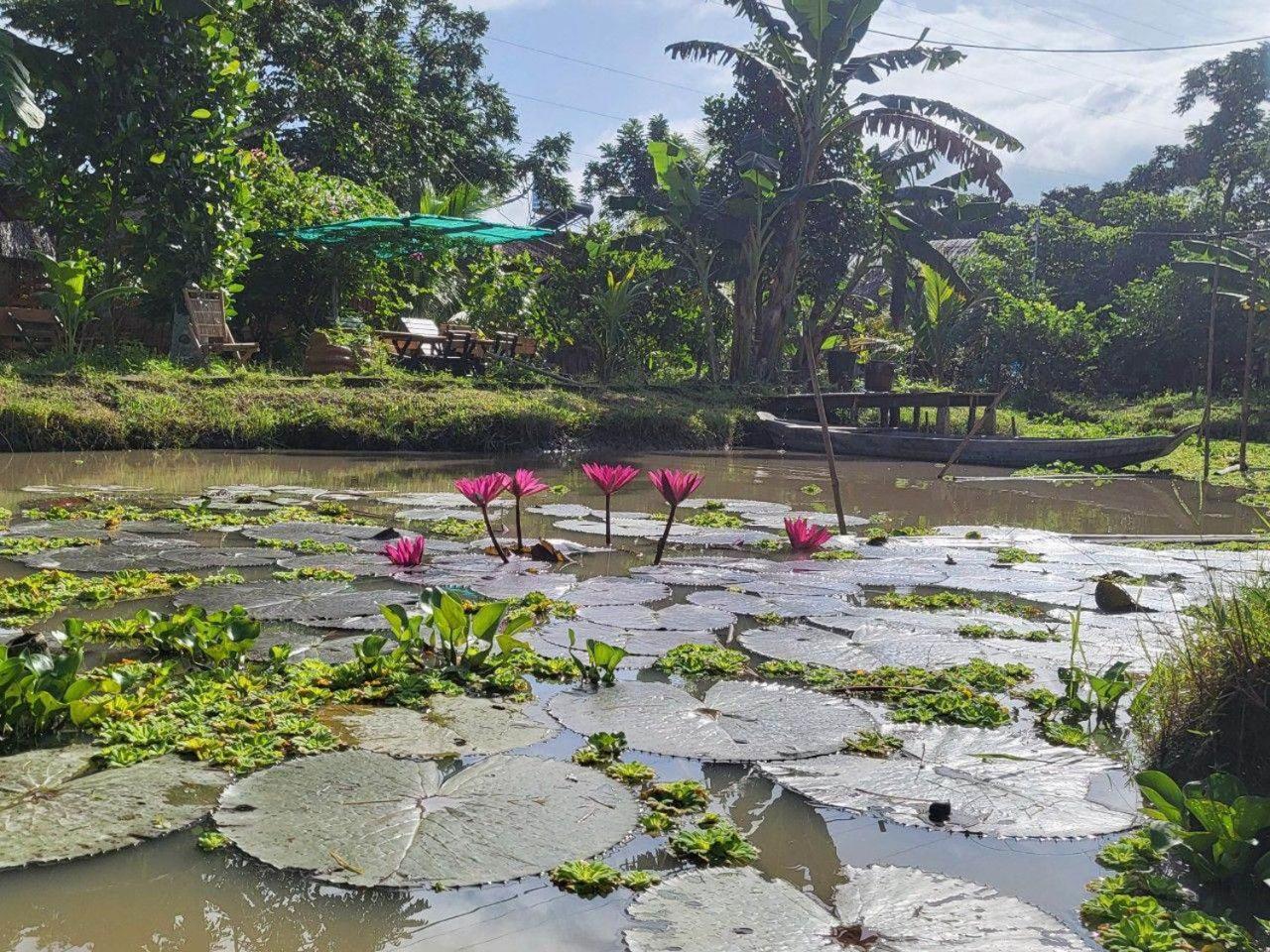 Mekong Daniel Homestay Can Tho Exterior foto